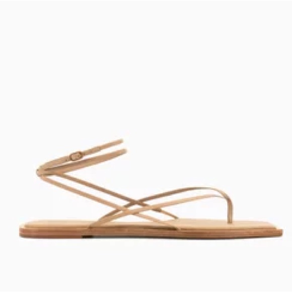Studio Amelia Slingshot Nappa Leather Flat Sandals Beige Eu 36 / Us 6 Nwt — image 2 of 8